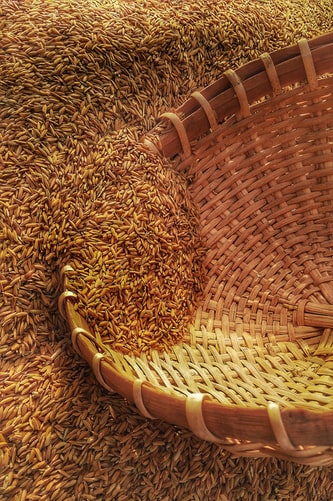 Калининградские аграрии не могут продать рекордный урожай зерна